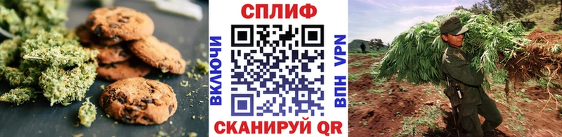 как найти наркотики  Суджа  Печенье с ТГК конопля 